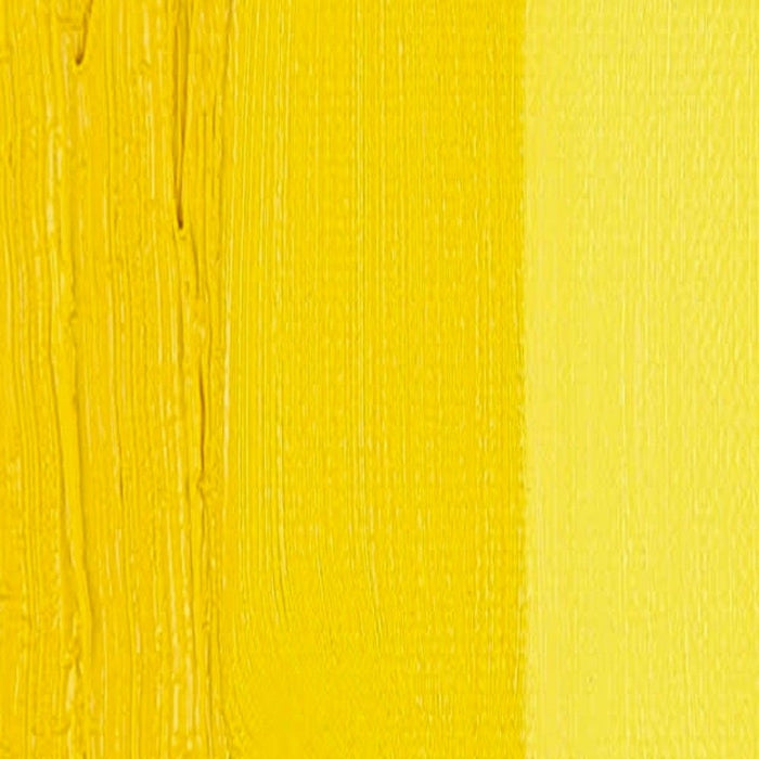 Cadmium Yellow Medium Gamblin 1980