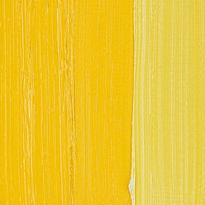 Cadmium Yellow Medium Gamblin Oil