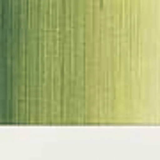 ART SPECTRUM OILS ART SPECTRUM Art Spectrum Terre Verte Traditional