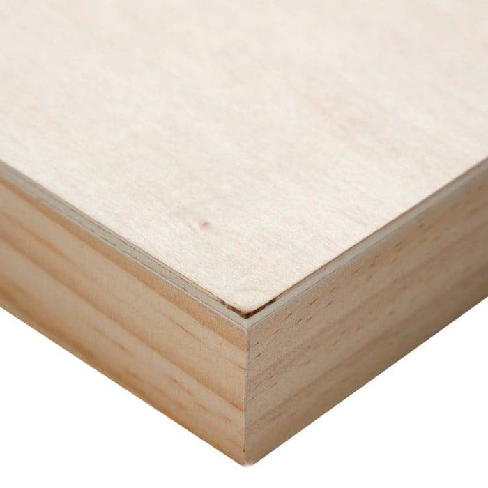 Artist Basswood Panels 20mm Depth