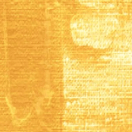 ATELIER INTERACTIVE Atelier Interactive Rich Gold