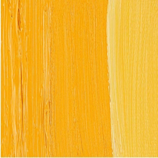 GAMBLIN ARTIST OILS GAMBLIN Cadmium Yellow Deep Gamblin Oil