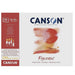 CANSON CANSON Canson Figueras 290gsm Textured Oil Paper