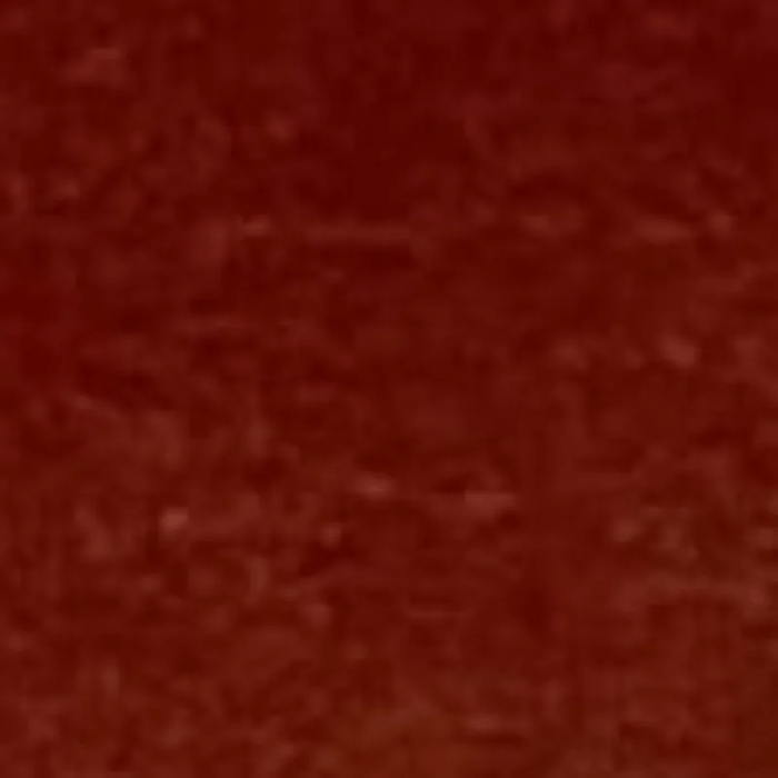 CARAN D’ACHE CARAN D’ACHE Burnt Sienna Caran D’Ache Studio Gouache 10ml