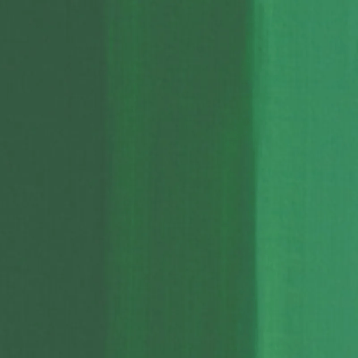 CHARVIN ExFINE CHARVIN 60ml Charvin ExFine Oil Cadmium Green Deep Genuine
