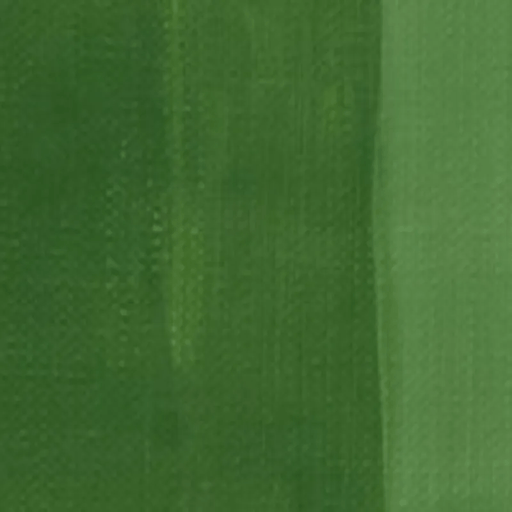CHARVIN ExFINE CHARVIN 60ml Charvin ExFine Oil Chromium Oxide Green