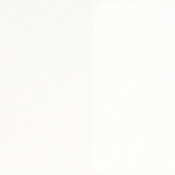 CHARVIN ExFINE CHARVIN Charvin ExFine Oil Flake White Hue