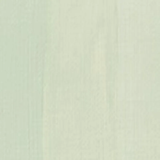 CHARVIN ExFINE CHARVIN 60ml Charvin ExFine Oil Medium Green Gray