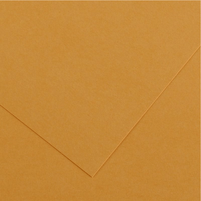 CANSON COLORLINE CANSON 32 Leather Colorline 300gsm 50x65cm (10Pk)