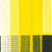 GOLDEN FLUID GOLDEN Golden FLUID Primary Yellow