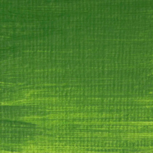 LANGRIDGE OILS LANGRIDGE Langridge Oil Cadmium Green