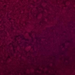 LANGRIDGE PIGMENTS LANGRIDGE Langridge Quinacridone Violet Pigment