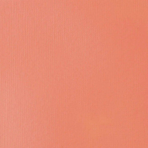 LIQUITEX BASICS LIQUITEX Liquitex Basics Light Pink 118ml