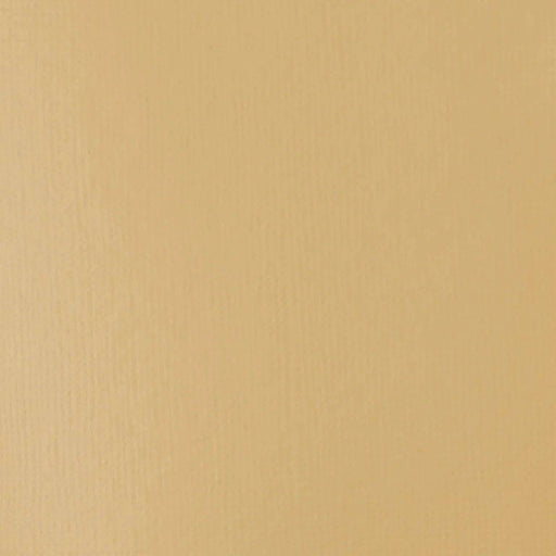 LIQUITEX BASICS LIQUITEX Liquitex Basics Unbleached Titanium