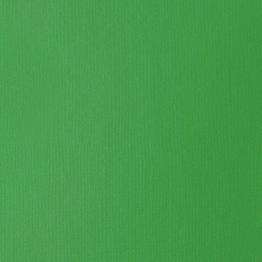 LIQUITEX BASIC FLUID LIQUITEX LQX Basics Acr Fluid 118ml Light Green Permanent