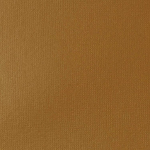 LIQUITEX BASIC FLUID LIQUITEX LQX Basics Acr Fluid 118ml Raw Sienna