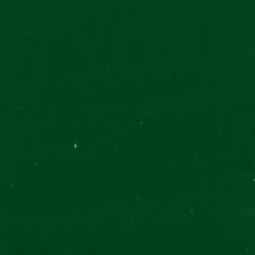 MATISSE BACKGROUND MATISSE 250ml Matisse Background Acrylics Forest Green (WOLLOMI PINE GREEN)