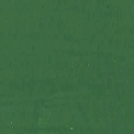 MATISSE BACKGROUND MATISSE 250ml Matisse Background Acrylics Leaf Green