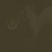 MATISSE STRUCTURE MATISSE Matisse STRUCTURE Skin Tone Deep