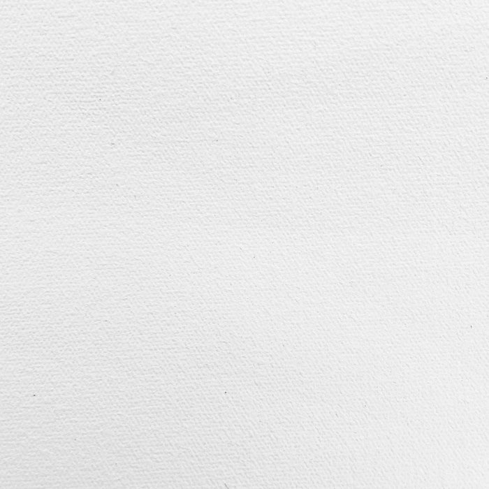 ALESANDRO CANVAS Polyester Polyester 4 Coats 10m Roll