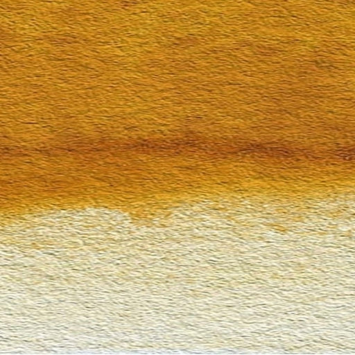 WINSOR & NEWTON WATERCOLOURS WINSOR & NEWTON Raw Sienna 552 Winsor & Newton Watercolours