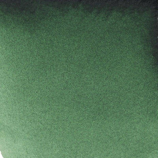REMBRANDT WATERCOLOURS REMBRANDT WATERCOLOURS Rembrandt Watercolour 10ml - 645 - Hooker Green Deep