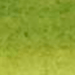 SENNELIER INKS SENNELIER Olive Green 813 Sennelier 30ml Ink Set