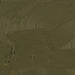 GAMBLIN ARTIST OILS GAMBLIN 37ml Terre Verte Gamblin Oil
