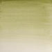 WINSOR & NEWTON WATERCOLOURS WINSOR & NEWTON WATERCOLOURS Terre Verte Yellow Shade 5ml W&N Watercolours