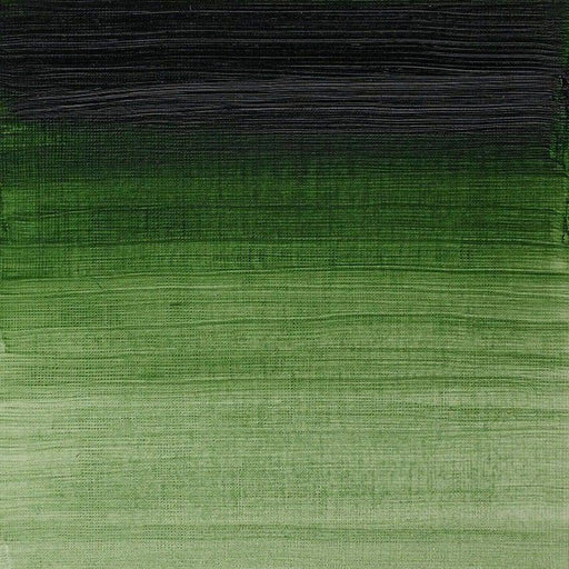 WINSOR & NEWTON ARTIST OILS WINSOR & NEWTON W&N Artist's Oil 37ml Prussian Green 540
