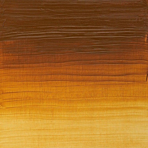 WINSOR & NEWTON ARTIST OILS WINSOR & NEWTON W&N Artist's Oil 37ml Transparent Gold Ochre 646
