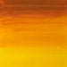 WINSOR & NEWTON ARTIST OILS WINSOR & NEWTON W&N Artist's Oil Indian Yellow 319