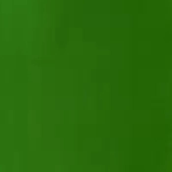 WINSOR & NEWTON GOUACHE WINSOR & NEWTON Sap Green 599 Winsor & Newton Designers Gouache 14ml