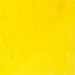 WINSOR & NEWTON WINTON WINSOR & NEWTON Winton Oils Cadmium Lemon Hue 087