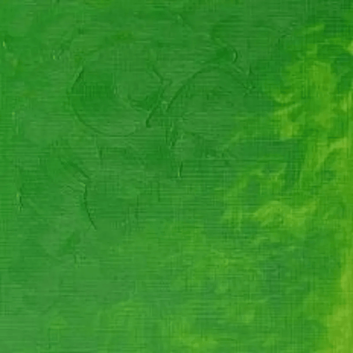 WINSOR & NEWTON WINTON WINSOR & NEWTON Winton Oils Permanent Green Light 483