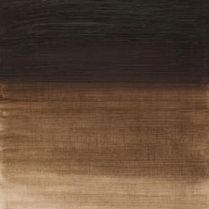 WINSOR & NEWTON WINTON WINSOR & NEWTON Winton Oils Raw Umber 554