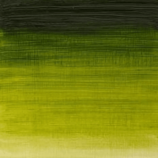 WINSOR & NEWTON WINTON WINSOR & NEWTON Winton Oils Sap Green 599