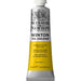 Winsor & Newton Winton Oils - Art Supplies Online