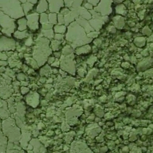 Terre Verte Langridge Pigment - Art Supplies Online